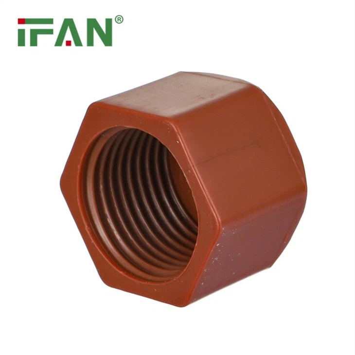 PPH Female Plug Fitting
